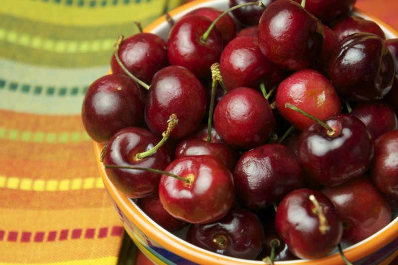 ইউরিক অ্যাসিডের সমস্যাকে চির বিদায় বলুন ঘরোয়া ৫ উপায়ে - West Bengal News 24 ইউরিক অ্যাসিডের সমস্যাকে চির বিদায় বলুন ঘরোয়া ৫ উপায়ে - West Bengal News 24