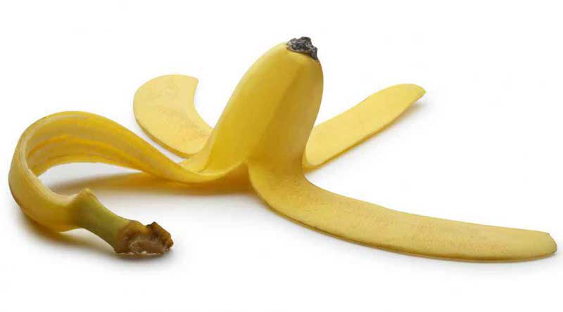 ওজন কমাবে কলার খোসা! - West Bengal News 24