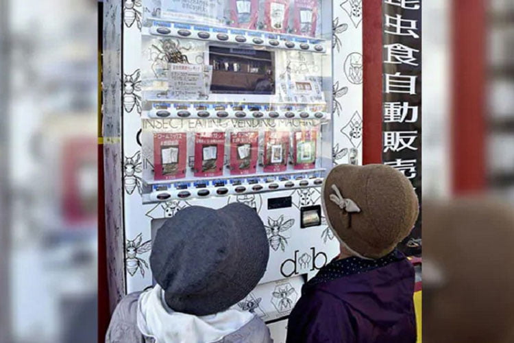 পয়সা ফেললেই পাওয়া যাচ্ছে ছারপোকার স্ন্যাক্স! - West Bengal News 24