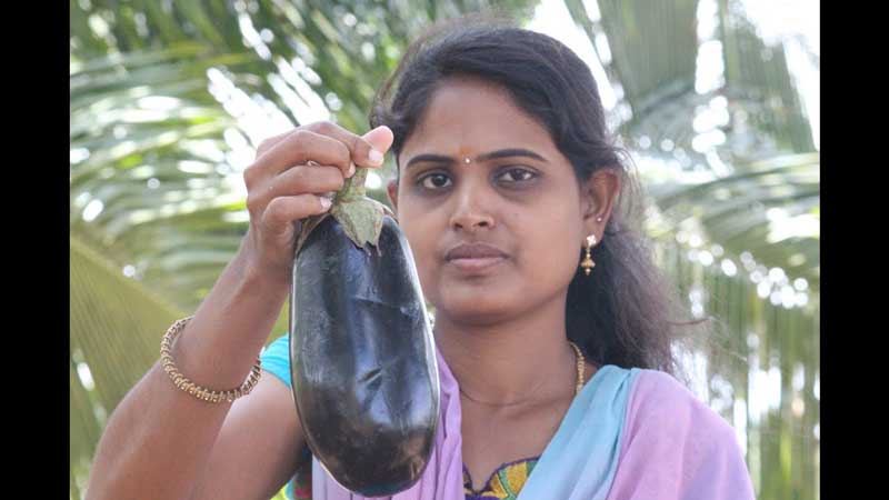 একটি সবজিতেই প্রতিরোধ হবে ক্যান্সার ও ডায়াবেটিস! - West Bengal News 24