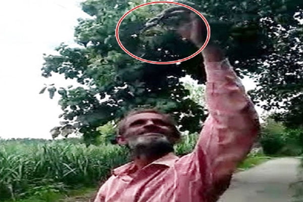 জ্যান্ত সাপ গিলে খেল এই ব্যক্তি, তারপর…দেখুন ভিডিও - West Bengal News 24 জ্যান্ত সাপ গিলে খেল এই ব্যক্তি, তারপর…দেখুন ভিডিও - West Bengal News 24