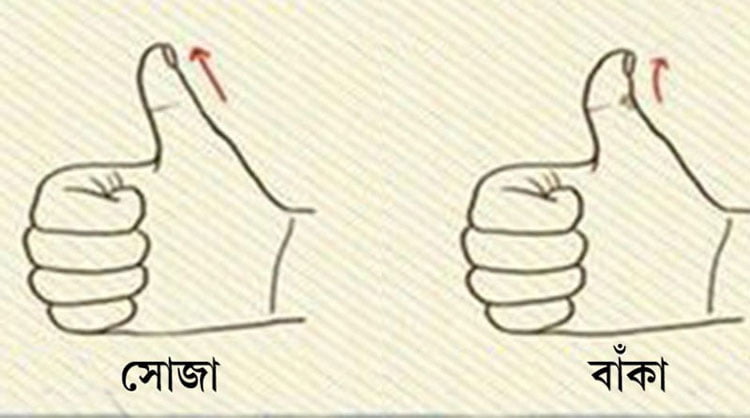 আপনার বুড়ো আঙুলে রয়েছে এই লক্ষণ? তা হলে ভাগ্য আপনার হাতের মুঠোয় - West Bengal News 24