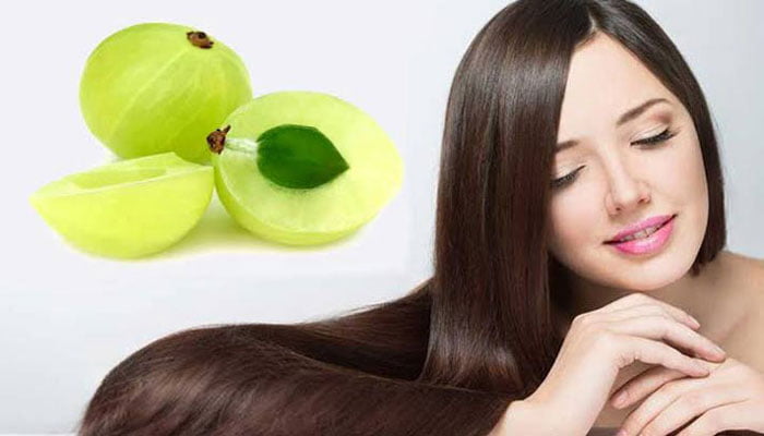 চুলের সমস্যা সমাধানে আমলকি - West Bengal News 24