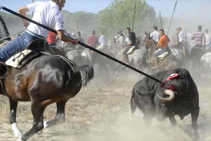 পৃথিবীর সবচেয়ে হাড় হিম করা ১০টি রীতি যা আজও পালিত হয় - West Bengal News 24 পৃথিবীর সবচেয়ে হাড় হিম করা ১০টি রীতি যা আজও পালিত হয় - West Bengal News 24