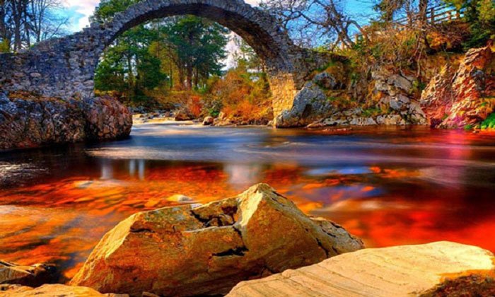 ভয়ঙ্কর এই নদীতে ডুব দিলেই হয়ে যাবেন কঙ্কাল! - West Bengal News 24