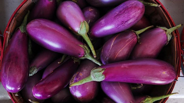 নাম যদিও বেগুন, আছে তার অনেক গুণাগুণ - West Bengal News 24