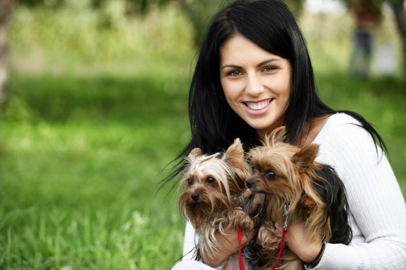 পোষা প্রাণী হিসেবে যে ৯ কারণে কুকুর ভালো - West Bengal News 24