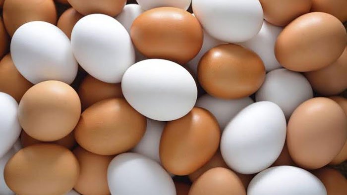 বাজি ধরে ৪১ ডিম খেয়ে মৃত্যু! - West Bengal News 24