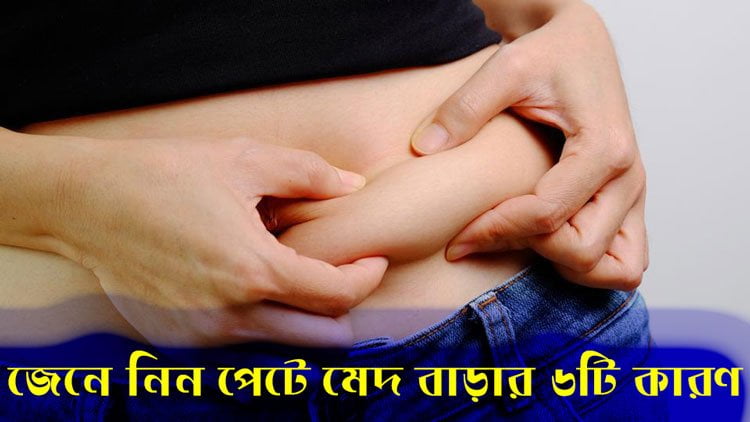 জেনে নিন পেটে মেদ বাড়ার ৬টি কারণ - West Bengal News 24