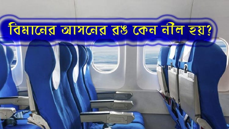 জেনে নিন বিমানের আসনের রঙ কেন নীল হয়? - West Bengal News 24
