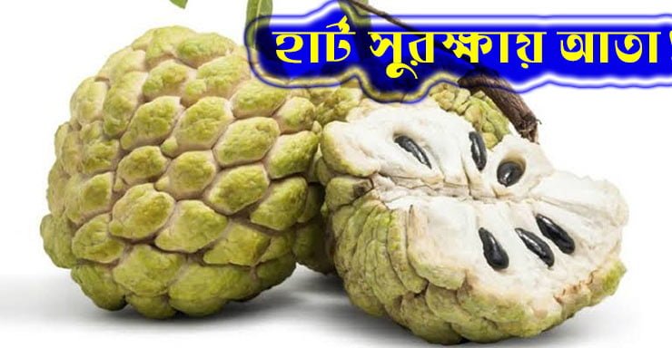 হার্ট সুরক্ষায় আতা! - West Bengal News 24