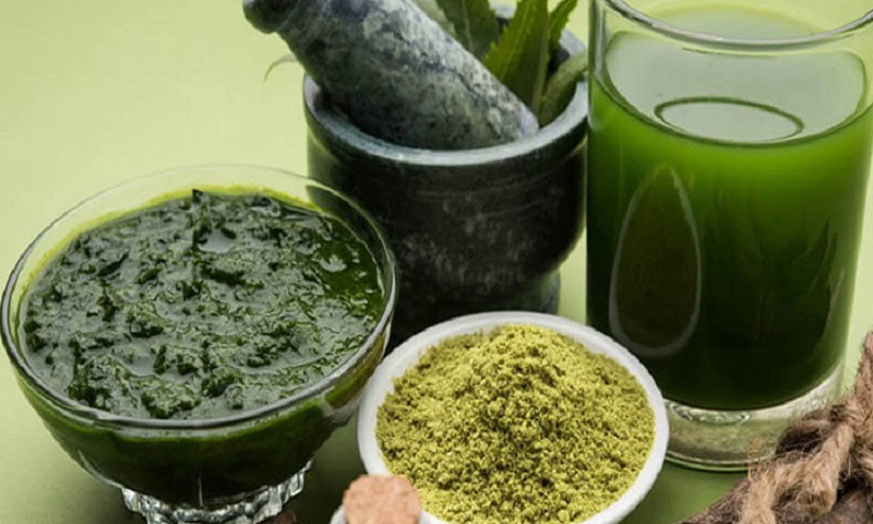 ডায়াবেটিস নিয়ন্ত্রণ করে তিতকুটে খাবার - West Bengal News 24 ডায়াবেটিস নিয়ন্ত্রণ করে তিতকুটে খাবার - West Bengal News 24