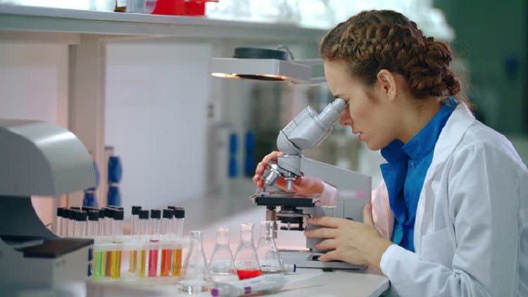 স্তন ক্যান্সারের ঝুঁকি কমাতে যা করবেন - West Bengal News 24