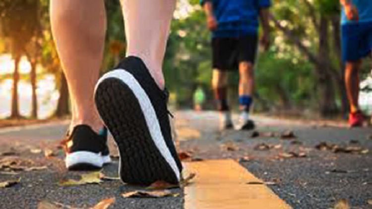 সুস্থ থাকতে প্রতিদিন সকালে কতক্ষণ হাঁটবেন - West Bengal News 24