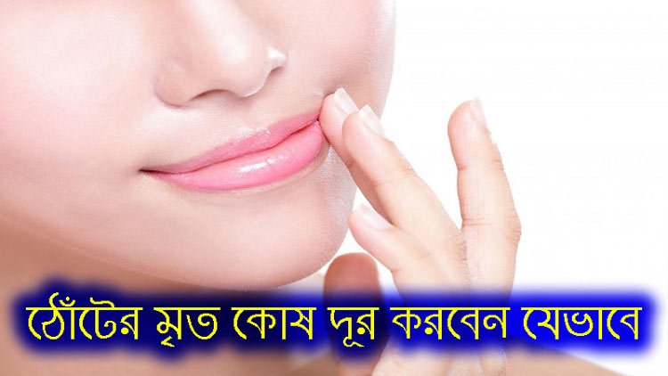 ঠোঁটের মৃত কোষ দূর করবেন যেভাবে - West Bengal News 24