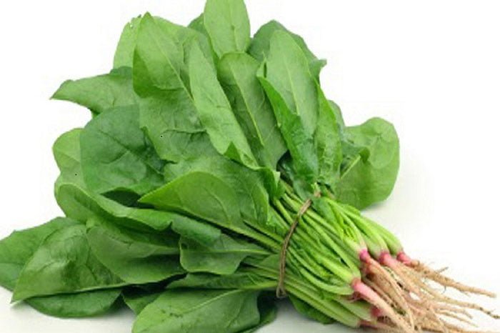 পালংশাকের পুষ্টিগুণ - West Bengal News 24