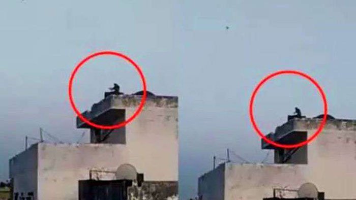 করোনাভাইরাস কি তবে বাড়িয়ে দিল বিবর্তনের গতি, দেখুন কেন এই ভিডিও ভাইরাল - West Bengal News 24