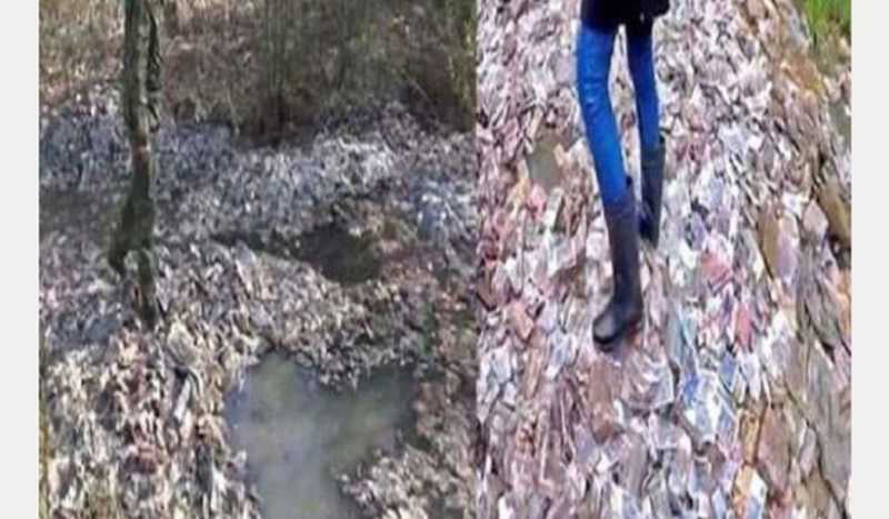 জঙ্গলের মধ্যে ছড়িয়ে আছে ১২০০ কোটি টাকা!‌ লকডাউন, কেউ নেই যে সে টাকা কুড়িয়ে নেবে - West Bengal News 24