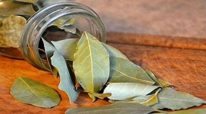 ডায়াবেটিস নিয়ন্ত্রণে রাখবে যে পাতা - West Bengal News 24