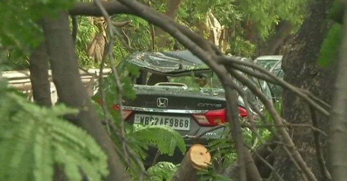 ১০০ কিমি বেগে বইছে ঝড়, শহর জুড়ে ভেঙে পড়ছে বড় বড় গাছ ! - West Bengal News 24