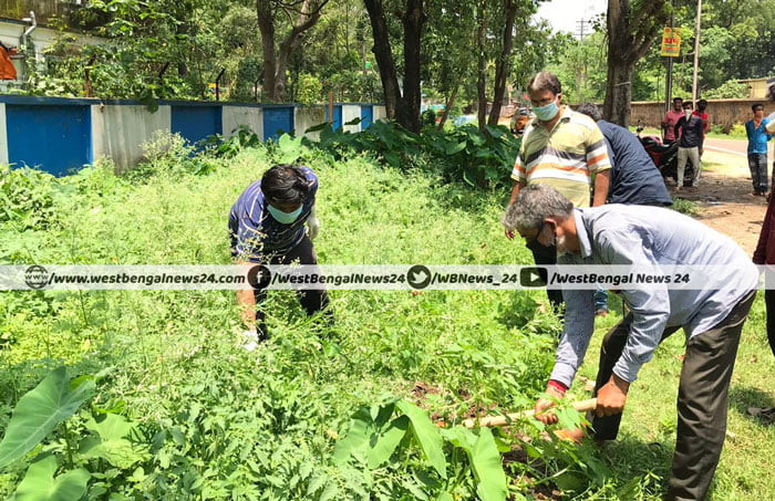 ঝাড়গ্রাম শহরে বিষাক্ত পার্থেনিয়াম আগাছা সাফ করতে পথে নামলেন যুব তৃণমূলের নেতা-কর্মীরা - West Bengal News 24