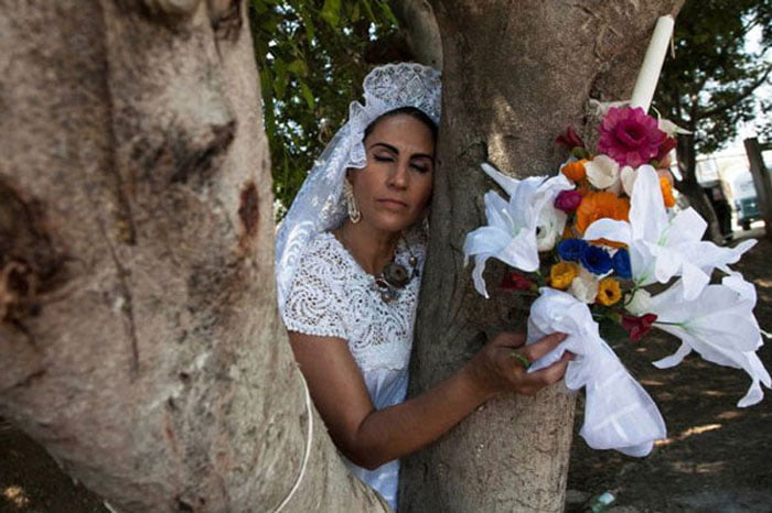 যে দেশে প্রেমে পড়ে গাছকে গণহারে ‘বিয়ে’ করছে তরুণীরা! - West Bengal News 24