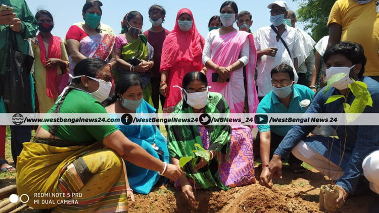বিশ্ব পরিবেশ দিবসে ঝাড়গ্রাম জেলায় নিবিড় সবুজায়নের উদ্যোগ - West Bengal News 24