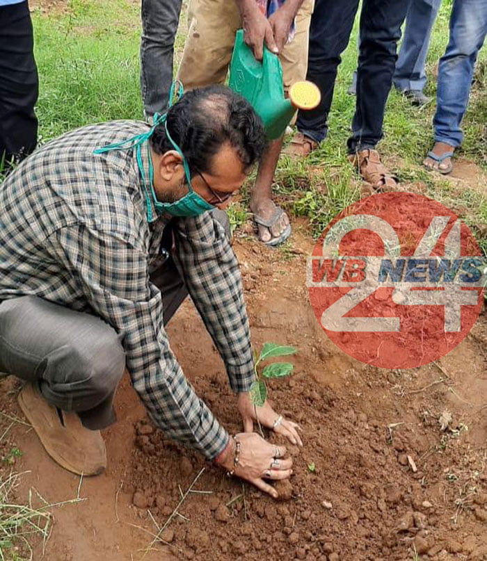 ঝাড়গ্রামে সবুজের সৌন্দর্য ফেরাতে উদ্যোগী পুরসভা - West Bengal News 24