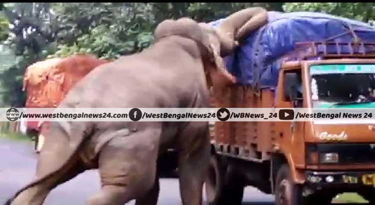 ঝাড়গ্রামে রাজ্য সড়কে গাড়ি থামিয়ে ‘তোলাবাজ’দের উৎপাত - West Bengal News 24