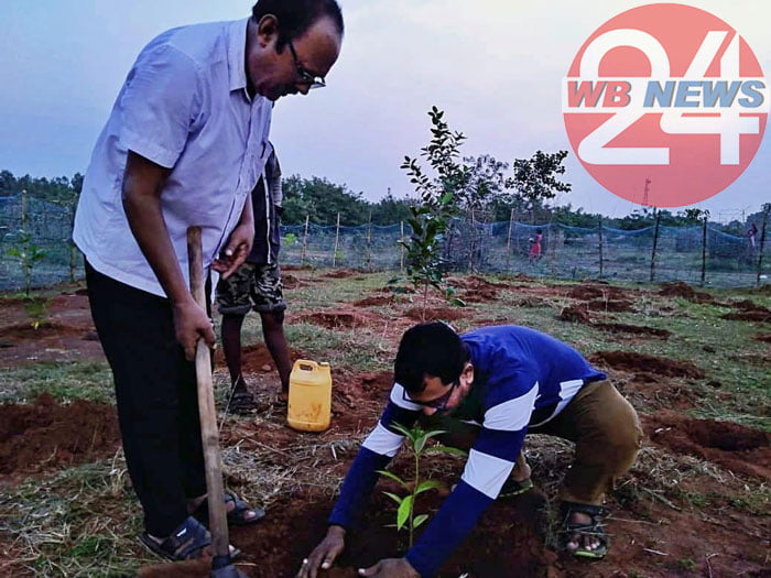 বিবাহবার্ষিকীতে চারাগাছ রোপণ শিক্ষক দম্পতির - West Bengal News 24