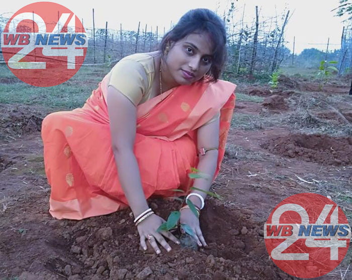 বিবাহবার্ষিকীতে চারাগাছ রোপণ শিক্ষক দম্পতির - West Bengal News 24
