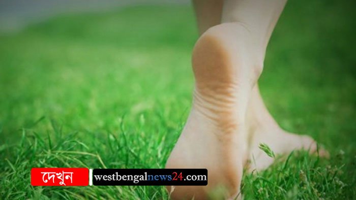 সুস্থ থাকতে ঘাসের উপর খালি পায়ে হাঁটুন - West Bengal News 24