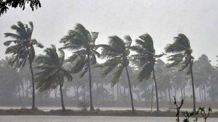 ভারী বৃষ্টিপাত হবে রাজ্যের এই জেলাগুলিতে, জানালো আবহাওয়া দফতর - West Bengal News 24 ভারী বৃষ্টিপাত হবে রাজ্যের এই জেলাগুলিতে, জানালো আবহাওয়া দফতর - West Bengal News 24