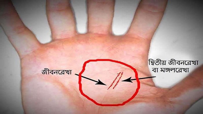 হাতের দুটি রেখা সৌভাগ্যের প্রতীক! - West Bengal News 24