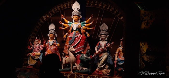 দেবী মহিষাসুরমর্দ্দিনী এবং বিন্ধ্যবাসিনী আগমন দোলায় - West Bengal News 24