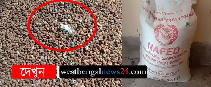 রেশন ও মিডডে মিলে নিম্নমানের ছোলা, সিল পাশকুড়ার কৃষাণ মান্ডির সরকারি গোডাউন - West Bengal News 24