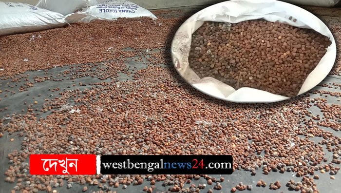 রেশন ও মিডডে মিলে নিম্নমানের ছোলা, সিল পাশকুড়ার কৃষাণ মান্ডির সরকারি গোডাউন - West Bengal News 24