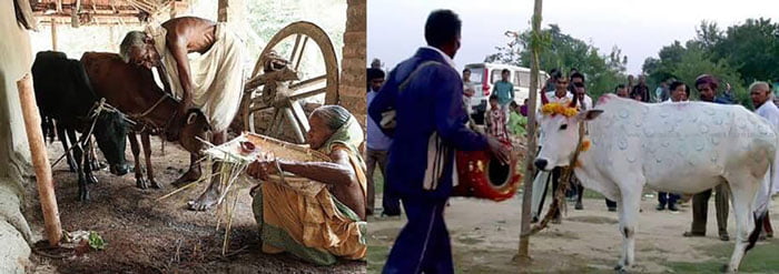 জঙ্গলমহলের বাঁদনা-পরবে দেবজ্ঞানে জীবসেবা - West Bengal News 24 জঙ্গলমহলের বাঁদনা-পরবে দেবজ্ঞানে জীবসেবা - West Bengal News 24