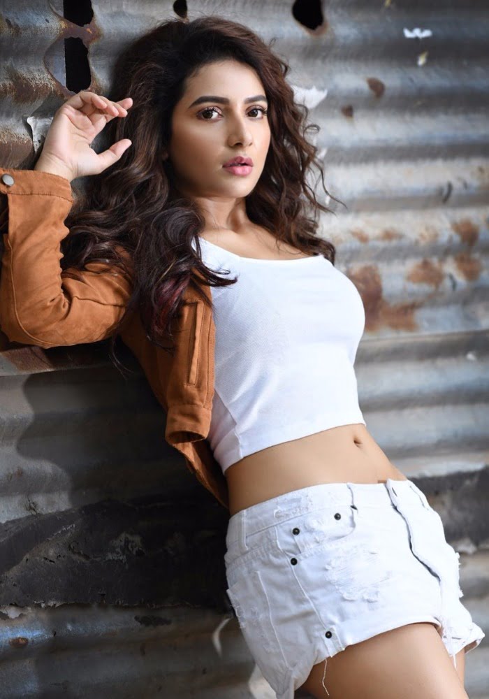 নতুন লুকে চমকে দিলেন শুভশ্রী - West Bengal News 24