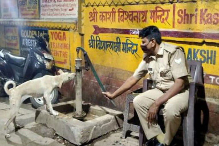 এক তৃষ্ণার্ত কুকুরকে জল খাওয়াচ্ছেন পুলিশকর্মী, ভাইরাল হওয়া এই ছবি জয় করেছে অসংখ্য মানুষের মন - West Bengal News 24 এক তৃষ্ণার্ত কুকুরকে জল খাওয়াচ্ছেন পুলিশকর্মী, ভাইরাল হওয়া এই ছবি জয় করেছে অসংখ্য মানুষের মন - West Bengal News 24