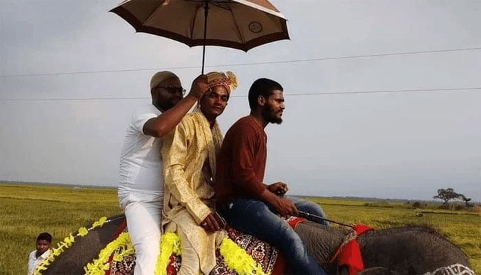 প্রেমকে অমর করতে হাতির পিঠে এল বর - West Bengal News 24