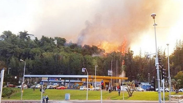ইসরাইলের সর্ববৃহৎ বিমানবন্দরের কাছে ভয়াবহ অগ্নিকাণ্ড - West Bengal News 24