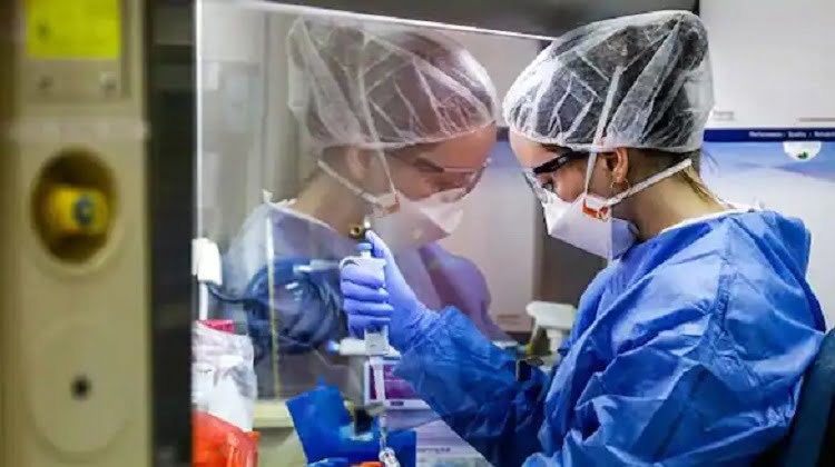 মহারাষ্ট্রে ধরা পড়ল করোনার ডেল্টা প্লাস প্রজাতি - West Bengal News 24 মহারাষ্ট্রে ধরা পড়ল করোনার ডেল্টা প্লাস প্রজাতি - West Bengal News 24