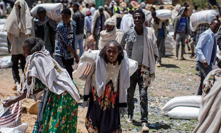 ইথিওপিয়ায় বিমান হামলা, ৮০ জনের বেশি নিহত - West Bengal News 24