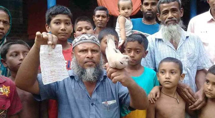 পাখির ঠোঁটে কাগজে লেখা চিরকুট পেয়ে বিস্ময় প্রকাশ এলাকাবাসীর - West Bengal News 24