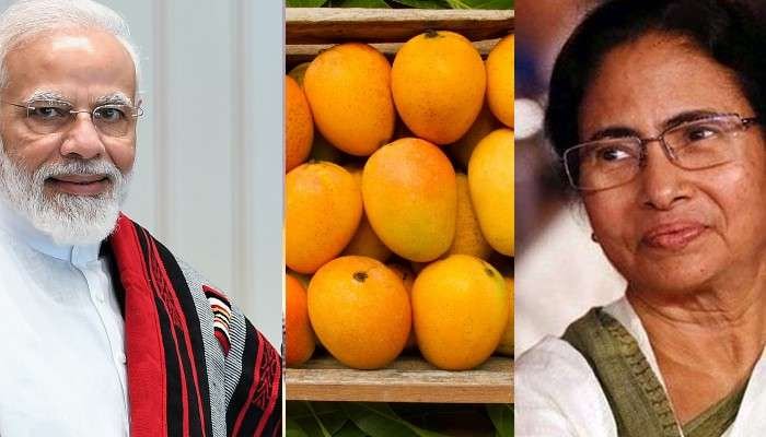 সৌজন্যতা দেখালেন মুখ্যমন্ত্রী! মোদি-শাহ সহ রাষ্ট্রপতিকে বাংলার আম পাঠালেন মমতা - West Bengal News 24 সৌজন্যতা দেখালেন মুখ্যমন্ত্রী! মোদি-শাহ সহ রাষ্ট্রপতিকে বাংলার আম পাঠালেন মমতা - West Bengal News 24