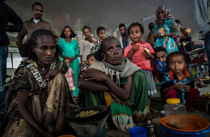 আট মাস পর যুদ্ধবিরতি ঘোষণা করলো ইথিওপিয়া - West Bengal News 24 আট মাস পর যুদ্ধবিরতি ঘোষণা করলো ইথিওপিয়া - West Bengal News 24