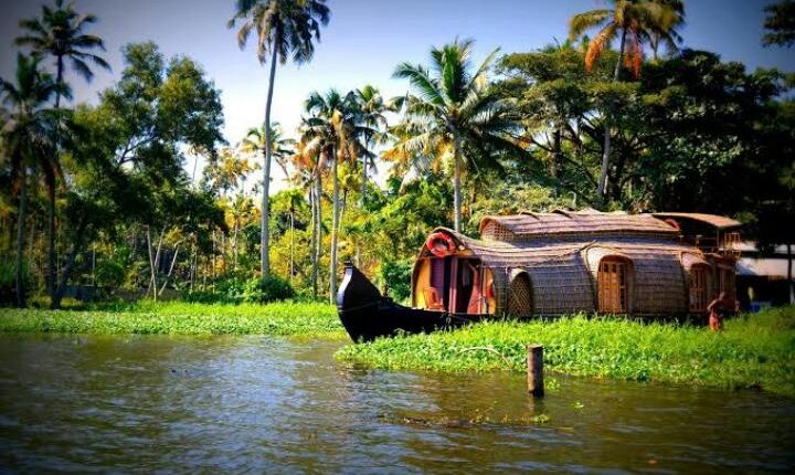 ছোট রাজ্য কেরালা কীভাবে করোনাভাইরাস সংক্রমণ নিয়ন্ত্রণে সফল হল? - West Bengal News 24