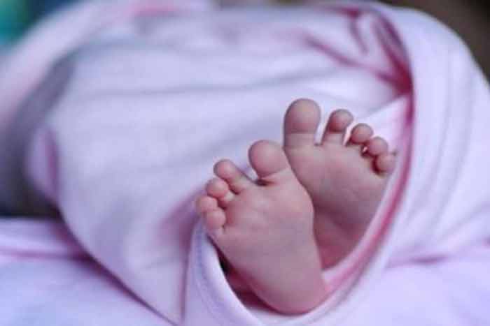 কোভিড জয়ী ১৮ দিনের সদ্যোজাত, টানা ১০ দিন ভেন্টিলেশনে থেকে লড়াই - West Bengal News 24 কোভিড জয়ী ১৮ দিনের সদ্যোজাত, টানা ১০ দিন ভেন্টিলেশনে থেকে লড়াই - West Bengal News 24