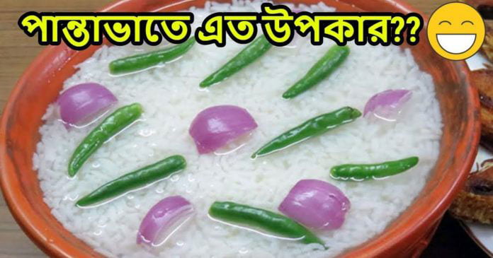 “পান্তা ভাত” সাধারণ এই খাবারের আছে অসাধারণ গুণ, বলছে গবেষণা - West Bengal News 24